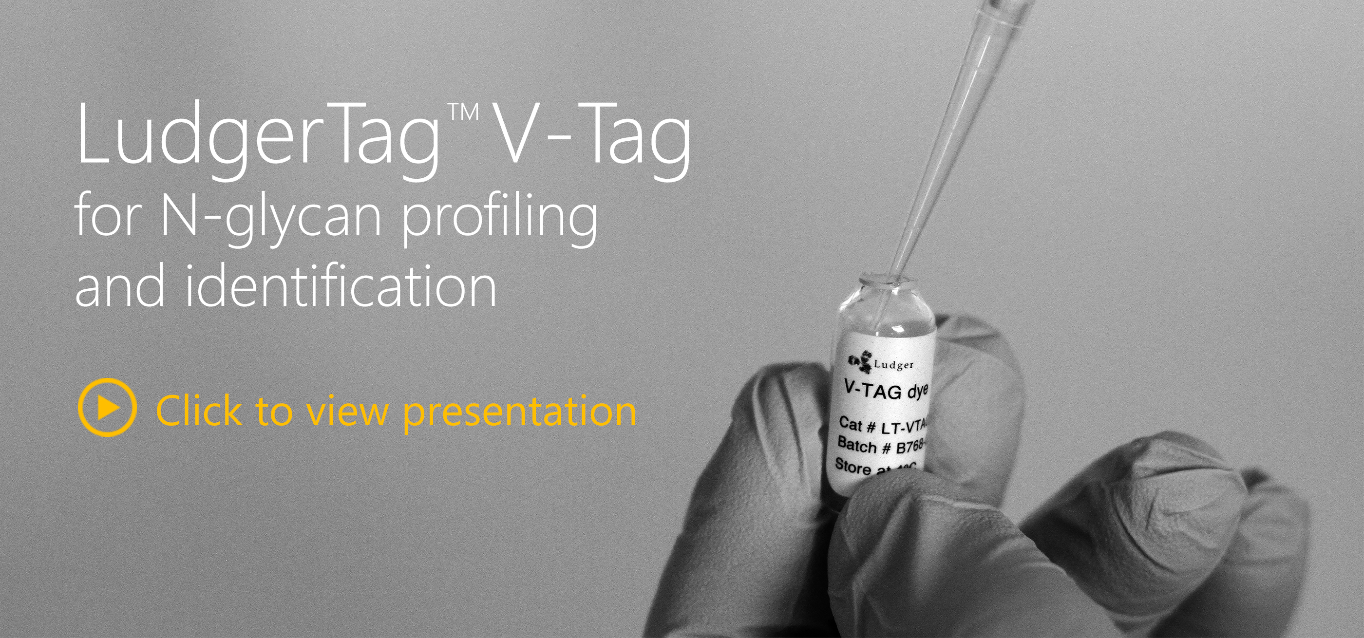 ludger v-tag glycan release and labelling kit