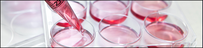 Ludger Glycan Analysis - Sample type: Cells