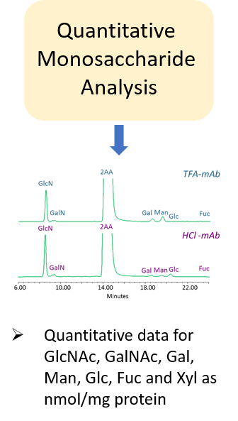 Ludger Glycan Analysis - Quantitative Monosaccharide Analysis