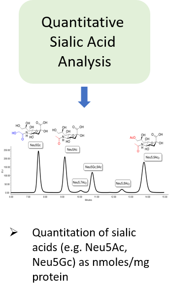 Ludger Glycan Analysis - Quantitative Sialic Acid Analysis