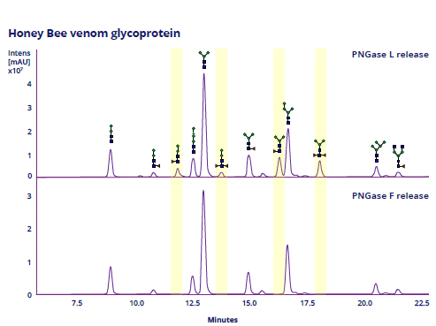 Honey Bee venom glycoprotein