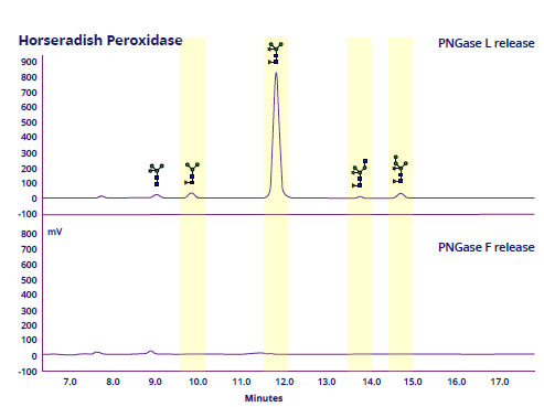 HILIC-UHPLC stack