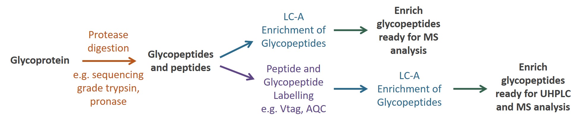 Ludger - Glycan Enrichment Workflow