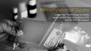 ludger glycan permethylation