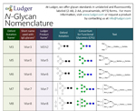 Ludger N-Glycan Nomenclature Table